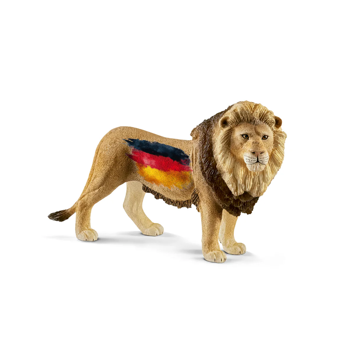 Vorschaubild 1