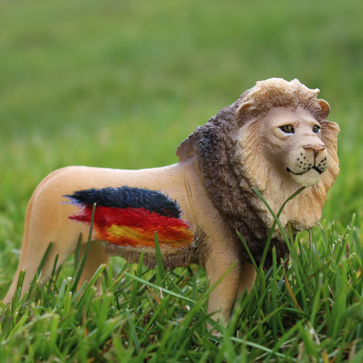 Vorschaubild 2